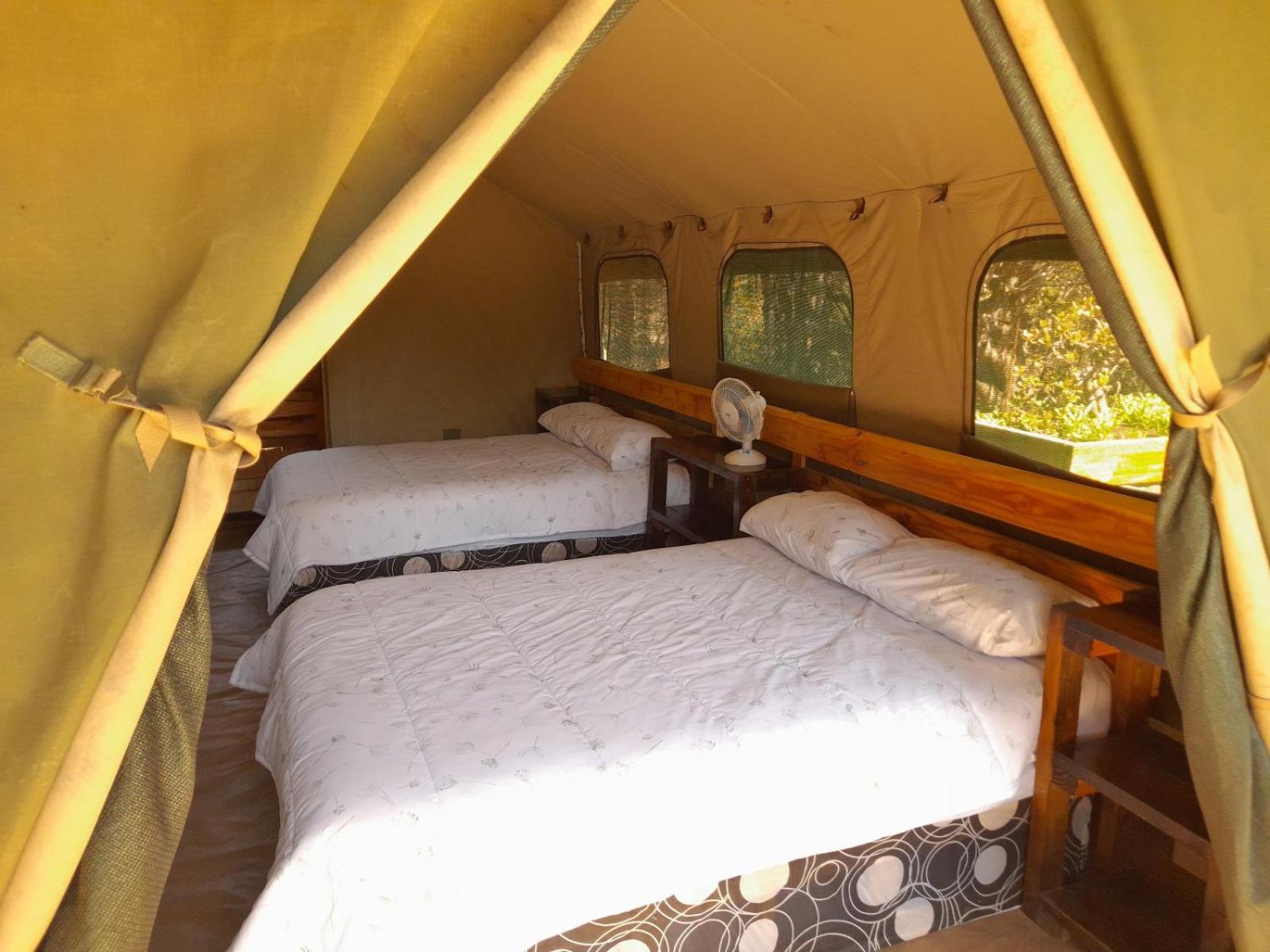 Luxury tent Little5 Camp