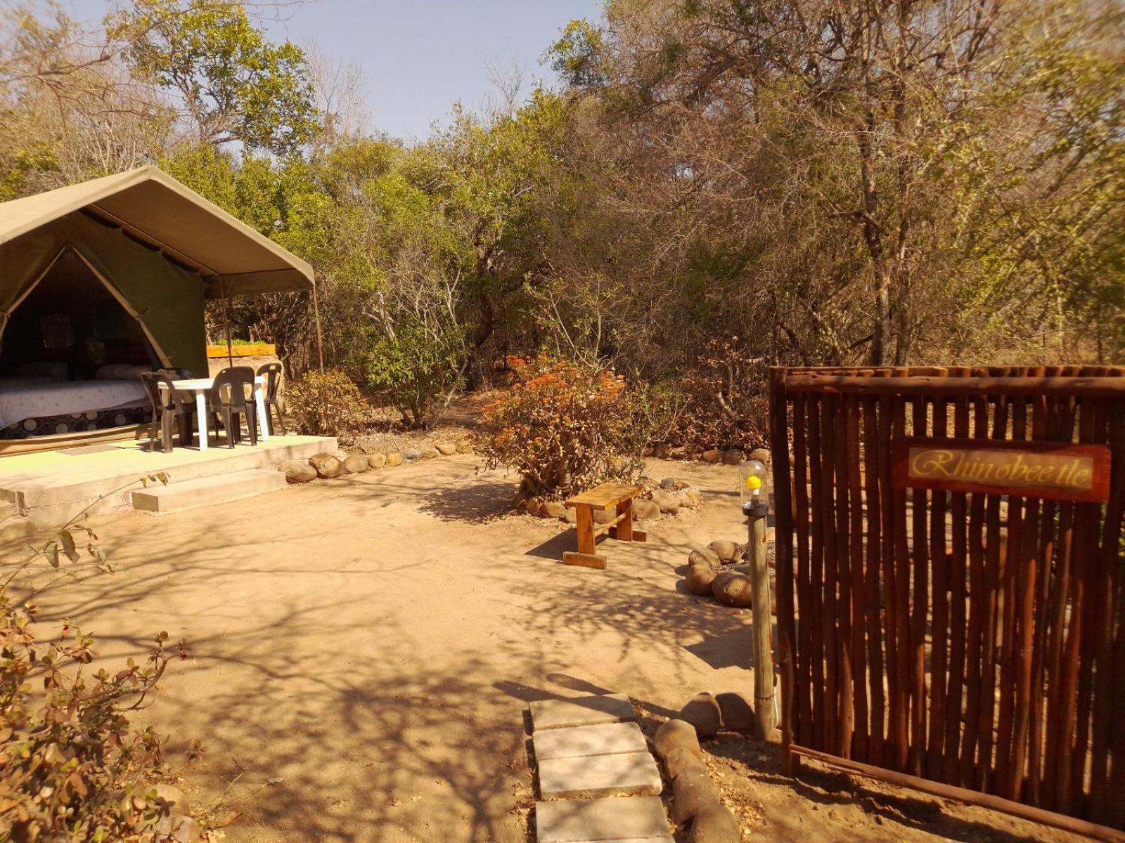 Little5 Camp * Hoedspruit