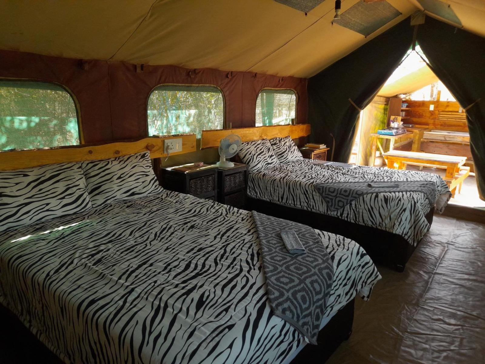 Little5 Camp Luxury tent Hoedspruit